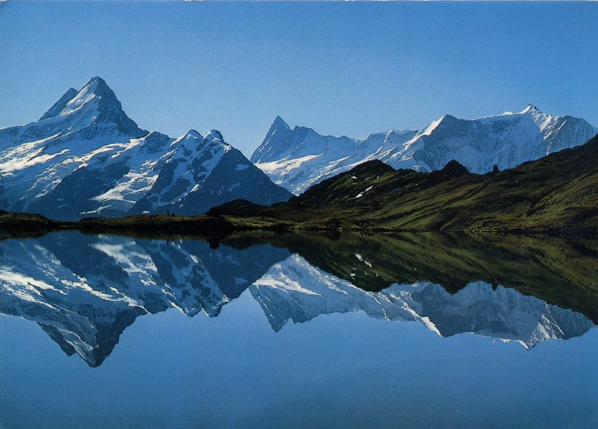 Der Bachalpsee mit dem Schreckhorn dahinter, Gras und Fels am vorderen Ufer