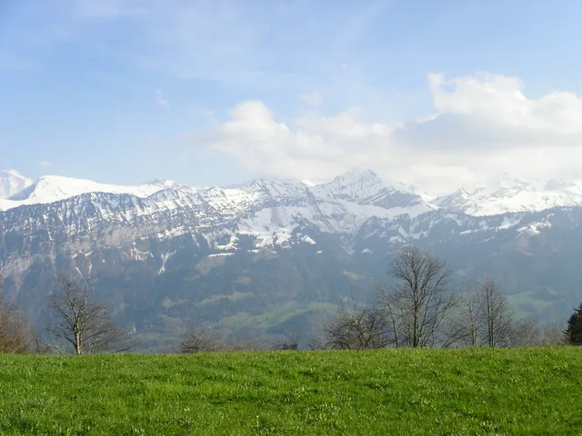 Blick von Beatenberg über eine Wiese auf die schneebedeckte Kette der Berner Alpen