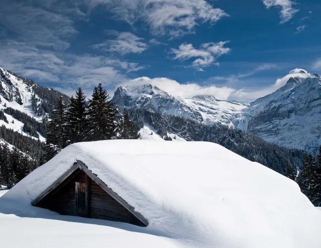 Tief verschneite Alphütte über Grindelwald, dahinter die winterlichen Gipfel und Tannen