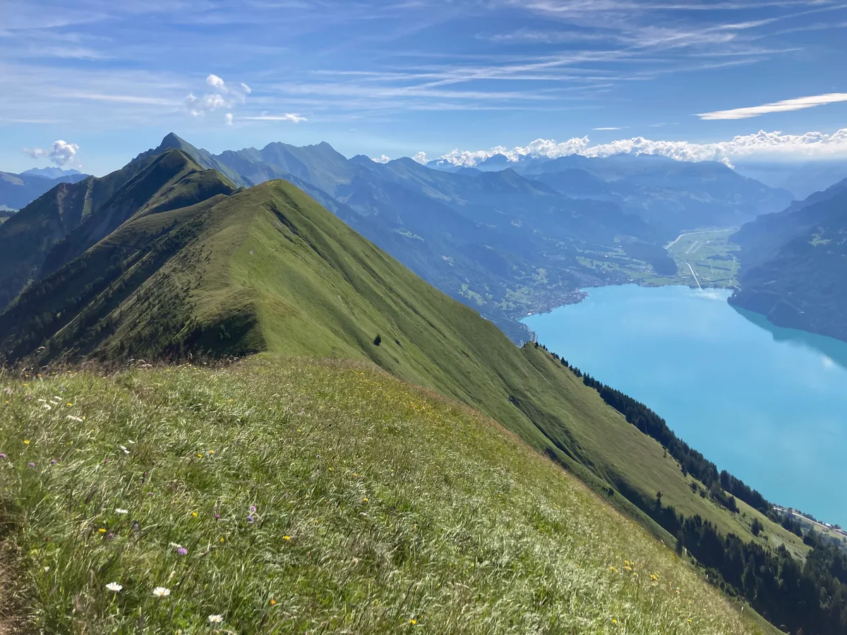 Der Hardergrat als schmaler Grasgrat hoch über dem türkisen Brienzersee, die Gratlinie zieht sich in mehreren Kuppen weiter nach Osten