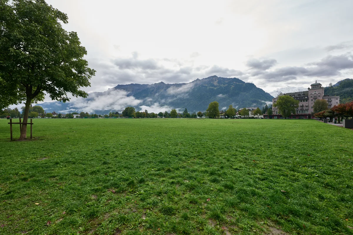 Die weite Wiese der Höhematte mit einem grossen Baum links, Hotelbauten am rechten Rand und der wolkenverhangenen Bergkette dahinter