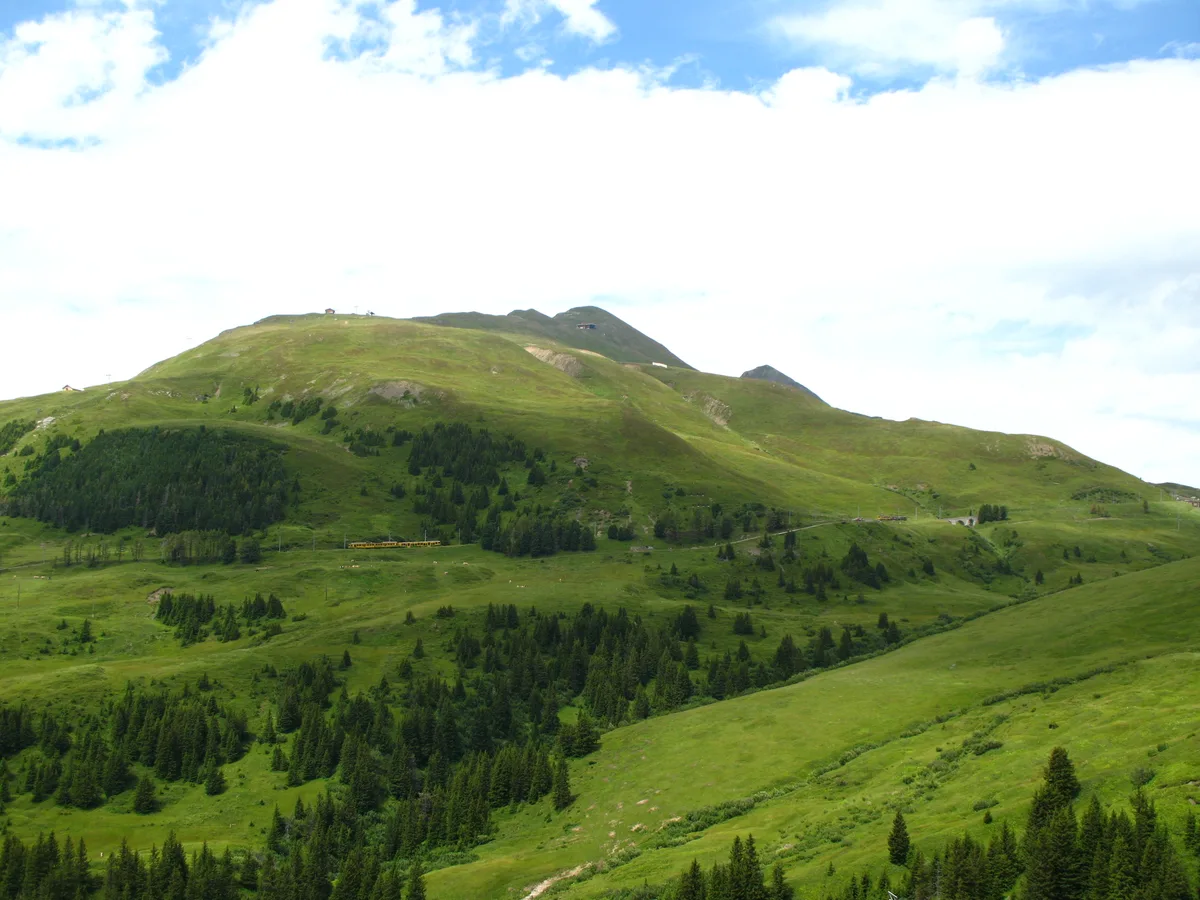 Gelbe Wanderwegweiser auf einer Alpweide, dahinter die Bahnlinie und das vergletscherte Massiv von Eiger und Mönch unter blauem Himmel