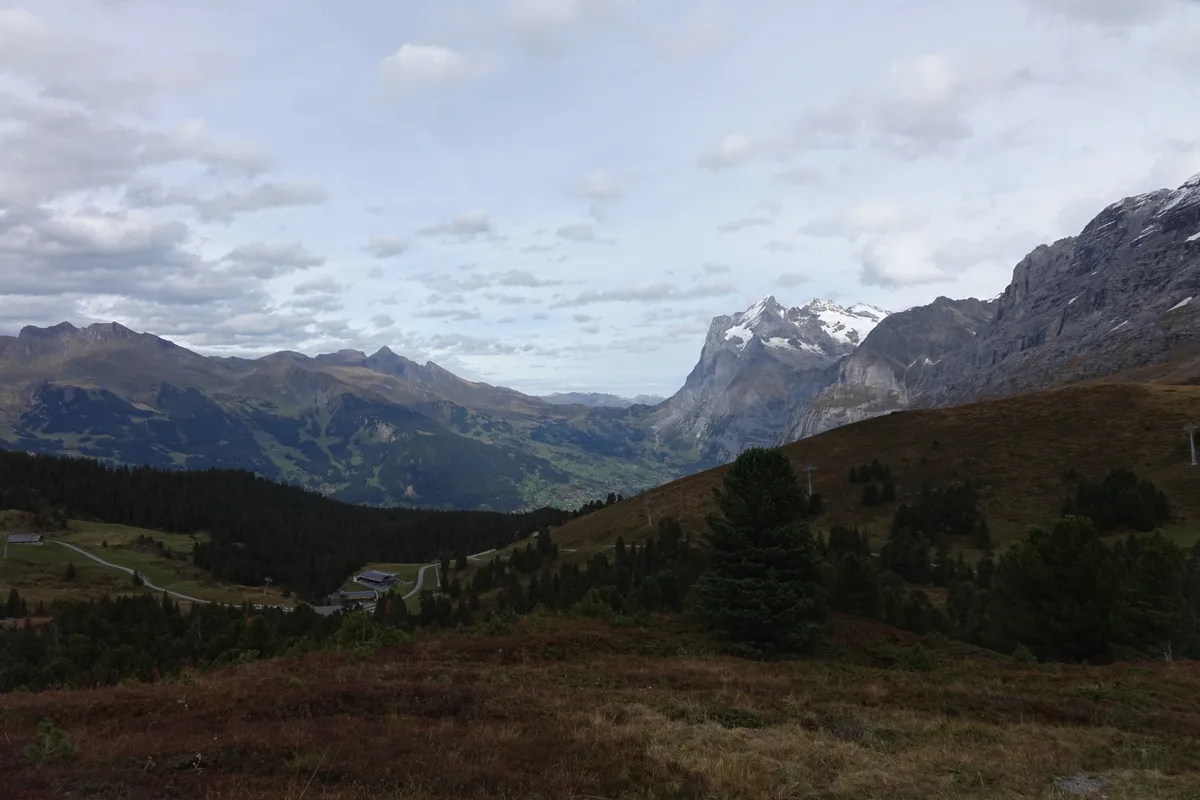 Herbstlich gefärbte Lärchen und Birken über einem Tal, dahinter ein schneebedeckter Gipfel unter Wolken