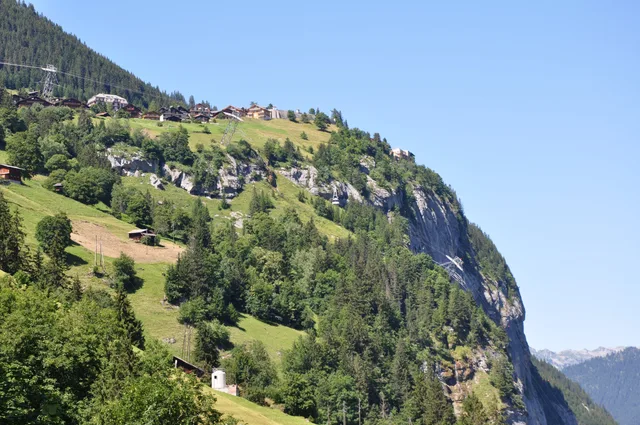 Mürren auf seiner Felsterrasse, von Gimmelwald aus gesehen: Chalets am Abbruch über der bewaldeten Steilflanke