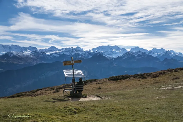 Eine Person sitzt auf einer Bank neben einem Wegweiser auf dem Grasrücken des Niederhorns, davor die verschneite Kette der Berner Alpen