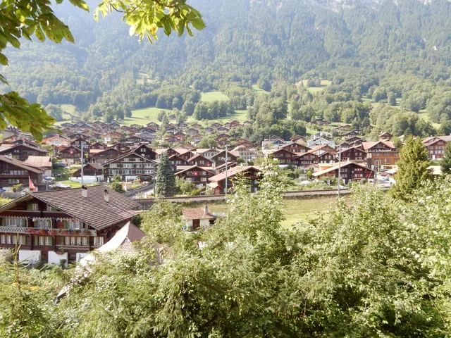 Die Chalets von Ringgenberg am bewaldeten Hang, von oben durch Laub gesehen