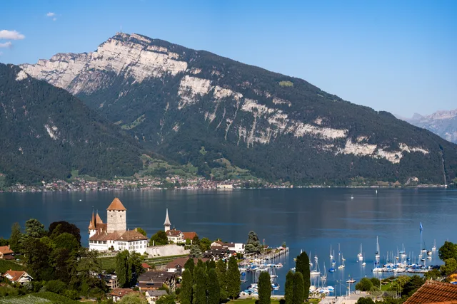 Schloss Spiez mit Turm und Kirche über dem Hafen, dahinter der Thunersee und die Berge