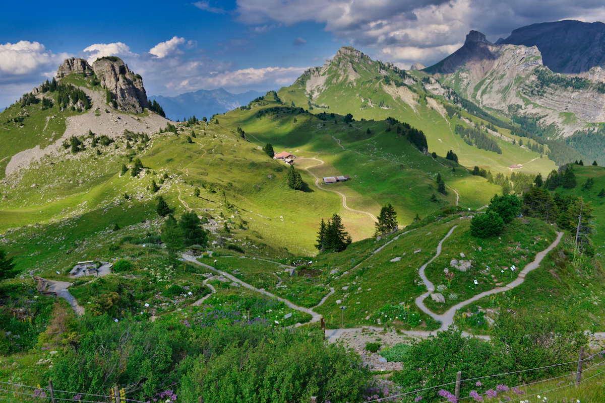 Hiking paths winding across the alpine meadows of Schynige Platte below rocky peaks