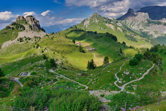 Kurvenreicher Wanderweg auf der Schynige Platte mit Alpweiden und Bergpanorama