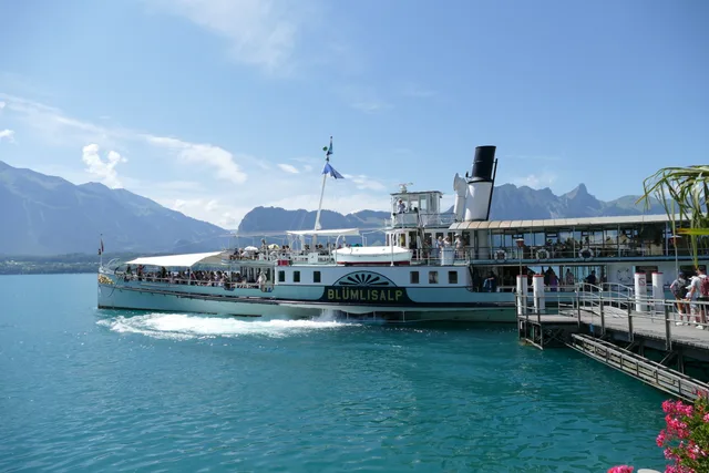 Der weisse Raddampfer Blümlisalp legt bei Oberhofen am türkisen Thunersee an, Passagiere an Deck, dahinter die Berge